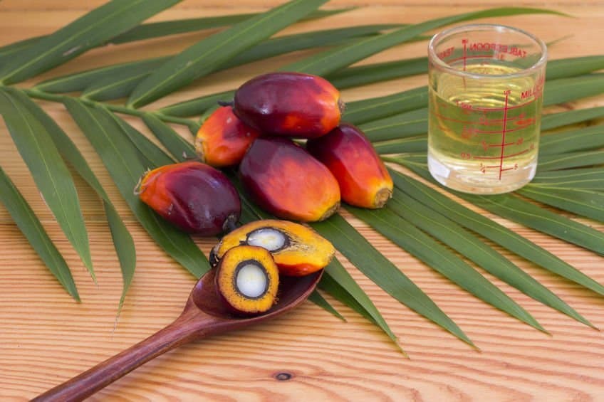 Palm Oil: The Ugly Truth | Scenturie