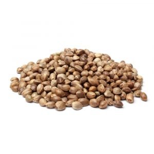 hemp seed oil