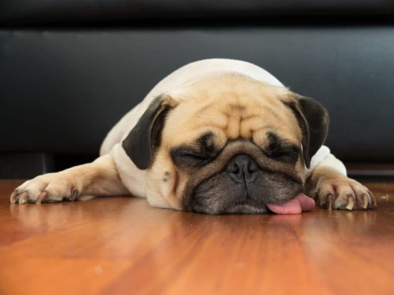 get more sleep