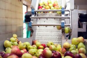 Upcycled apple seed oil