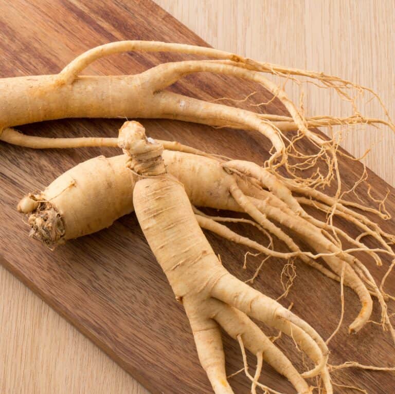 ginseng root extract