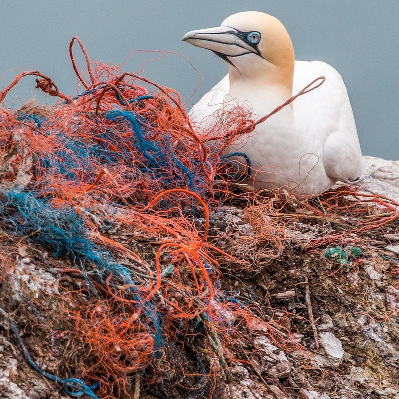 plastic-free skincare