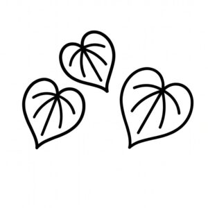 Stylised image of leaves - botanical ingredients